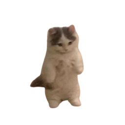 Cat cat_a.png